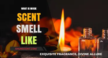 Unveiling the Alluring Musk Scent: A Sensory Journey Explained