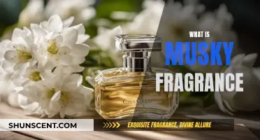 Explore the World of Musky Fragrances