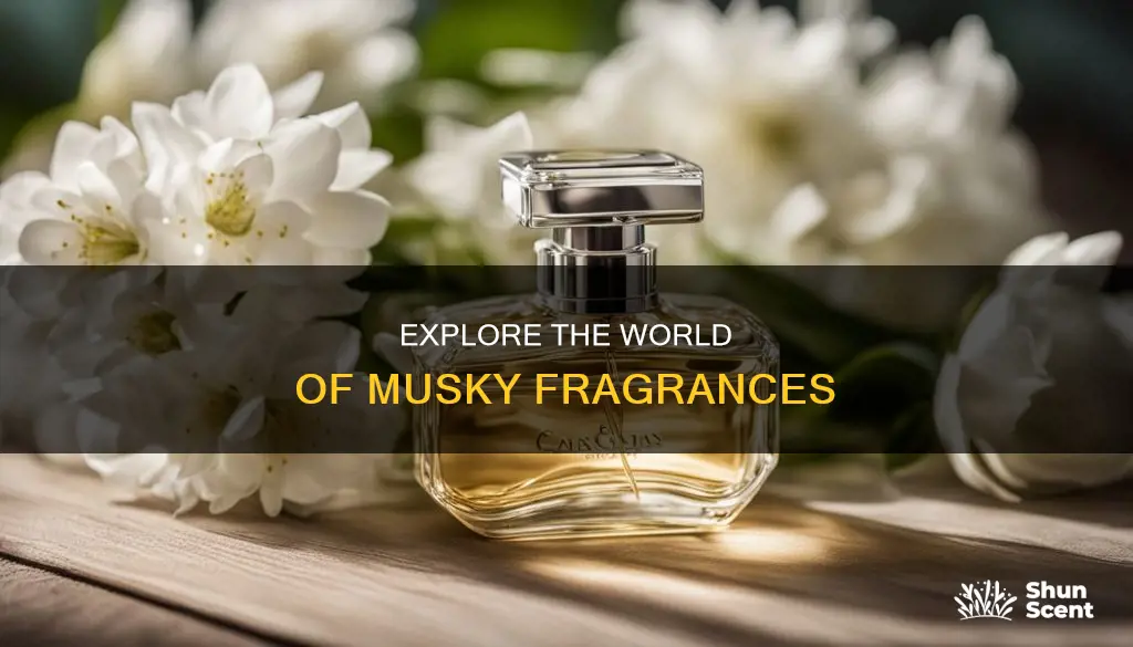 what is musky fragrance