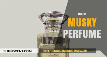 Explore the Alluring World of Musky Perfumes