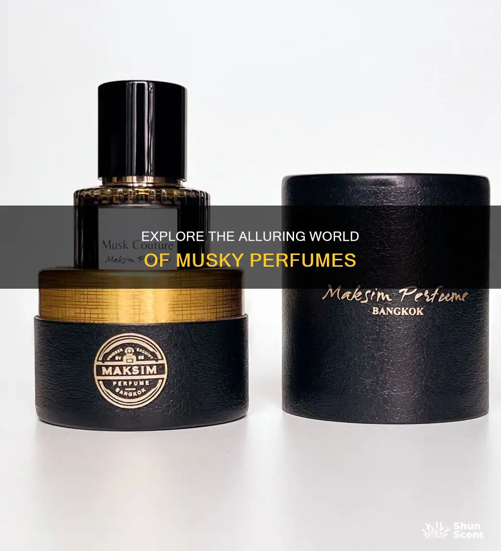 what is musky perfume