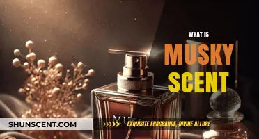 Unveiling the Allure: Understanding the Enigmatic Nature of Musky Scents