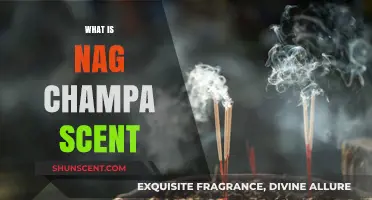 Exploring the Mystical Nag Champa Scent: Origins, Notes, and Uses