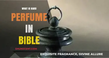 The Significance of Nard Perfume in the Bible