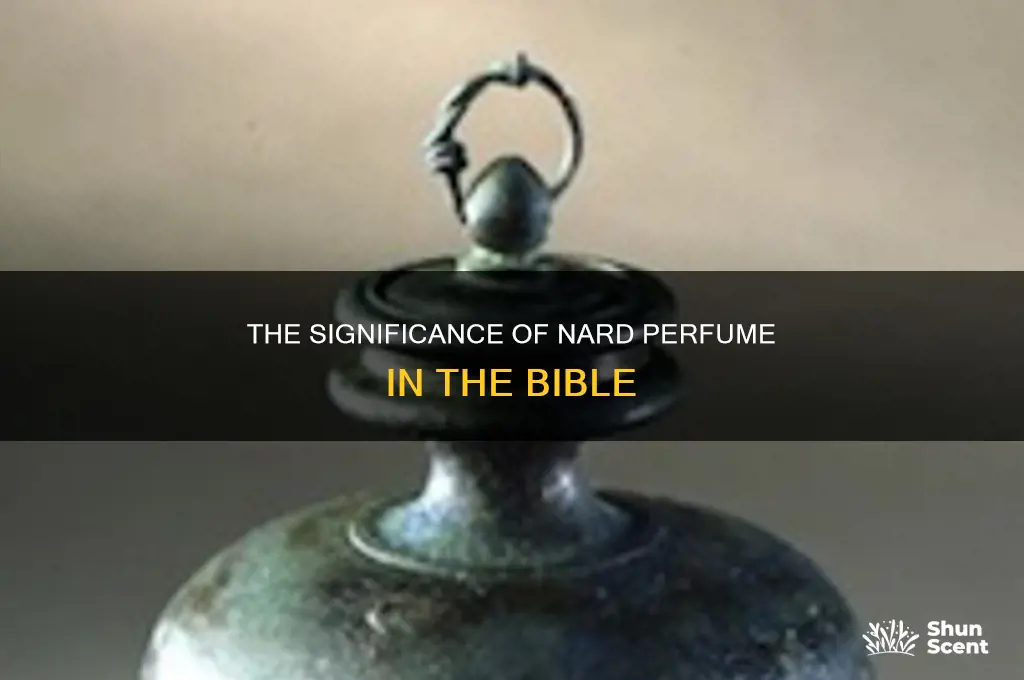 what is nard perfume in bible