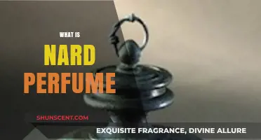The Ancient Nard: A Fragrant Perfume