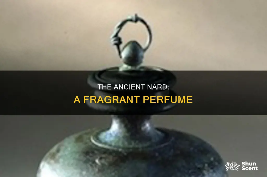 what is nard perfume