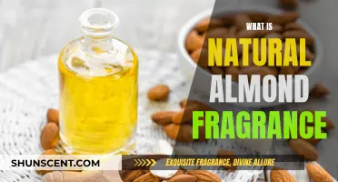 Almond Fragrance: Natural, Sweet, and Nutty Aroma