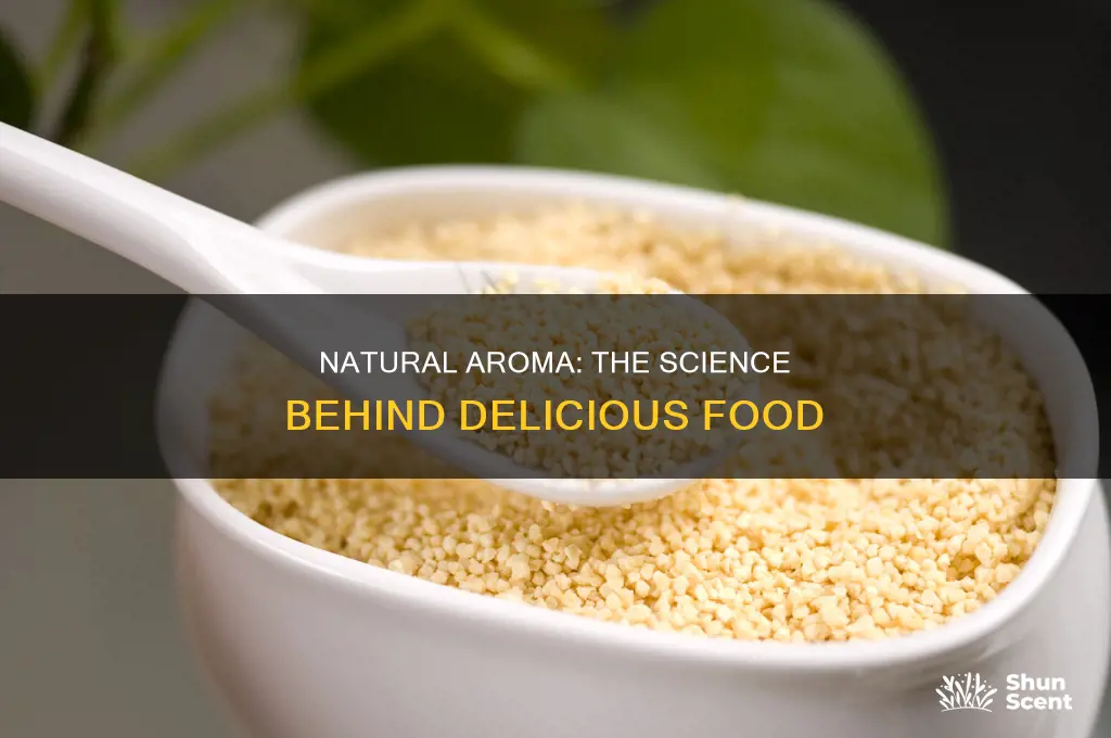 what is natural aroma in food