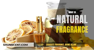 The Natural Fragrance Advantage: What Makes It Special?