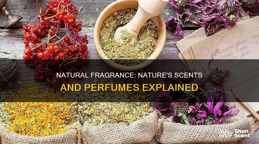 what is natural origin fragrance