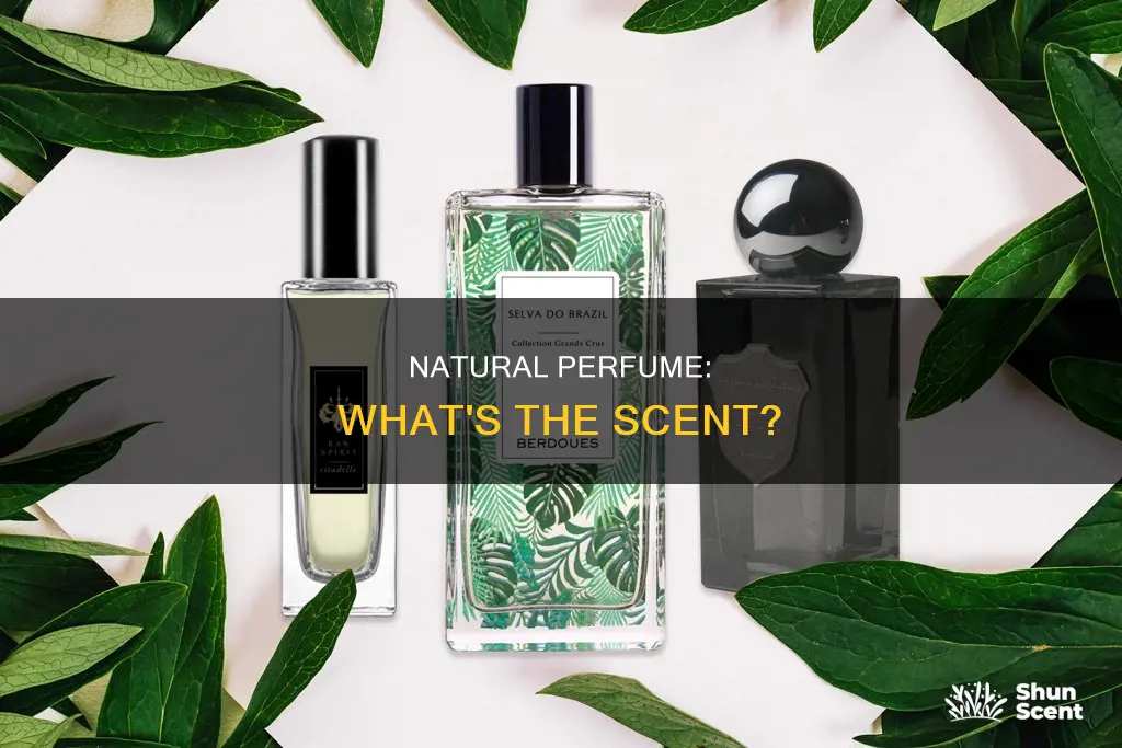 what is natural perfume