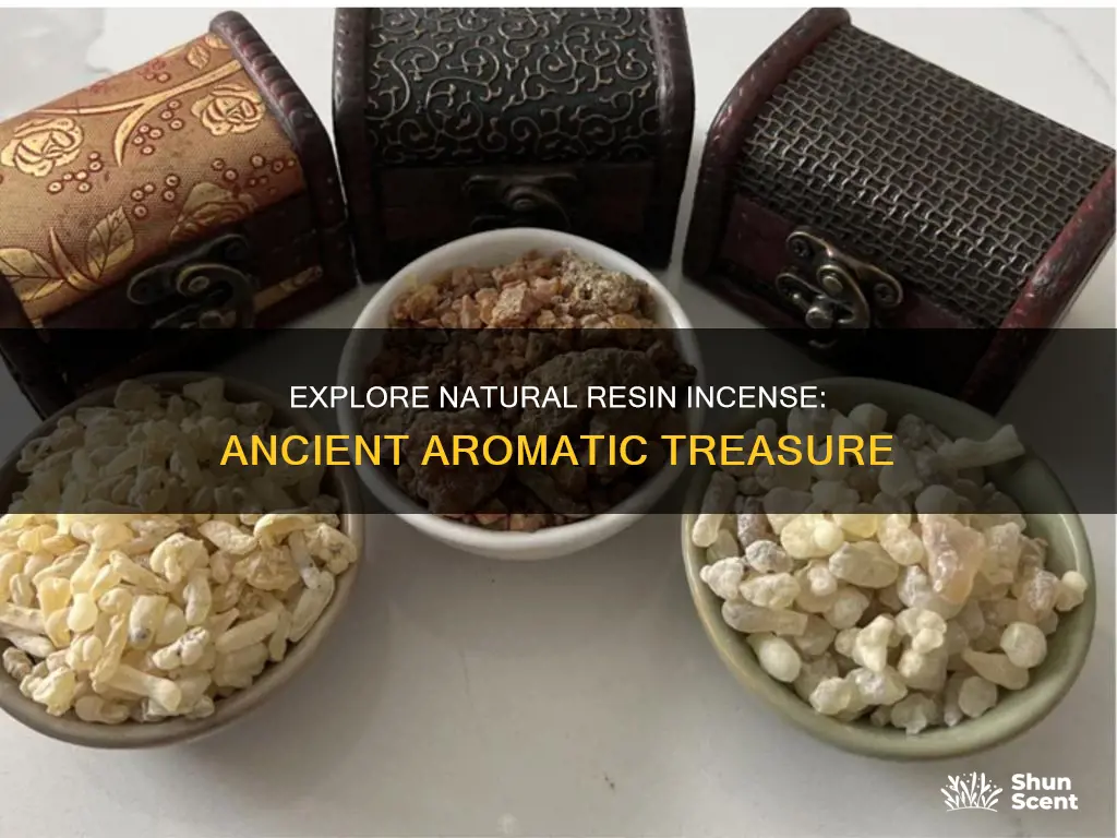 what is natural resin incense