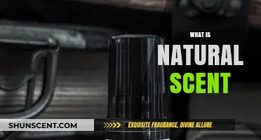 Understanding Natural Scents: Origins, Benefits, and Everyday Applications