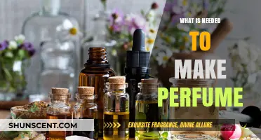 Creating Scents: Ingredients for Perfume Making
