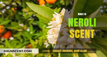 Discover the Enchanting Neroli Scent: Origins, Uses, and Benefits