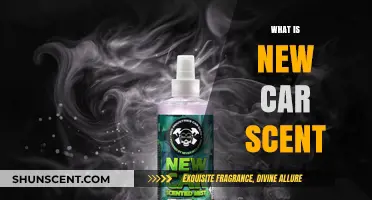Unveiling the Mystery: What is New Car Scent and Why We Love It