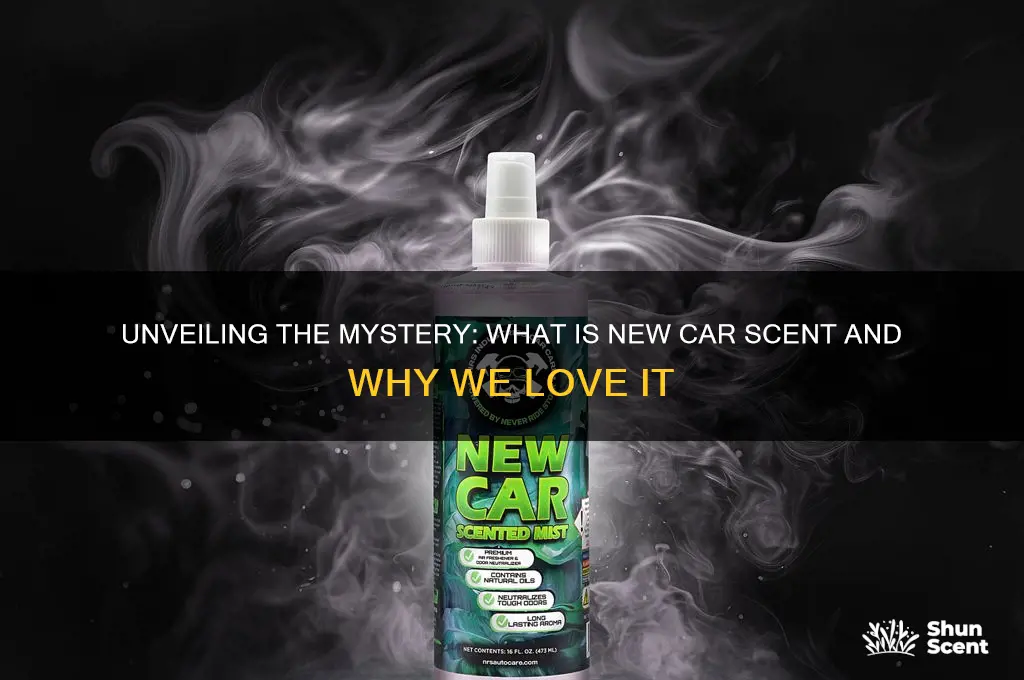 what is new car scent