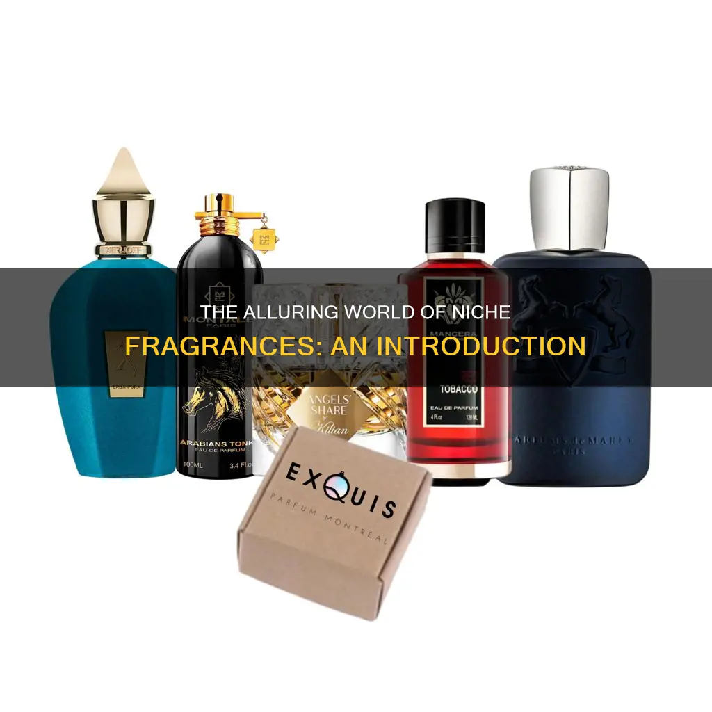 what is nitch fragrance