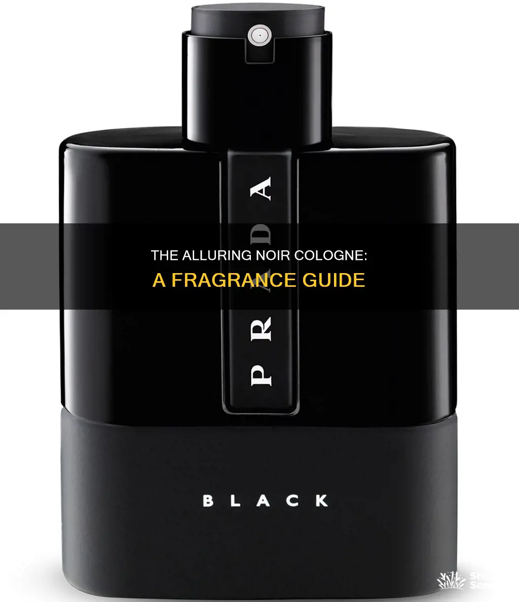 what is noir cologne