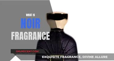 The Allure of Noir Fragrances: Exploring Dark, Sensual Scents