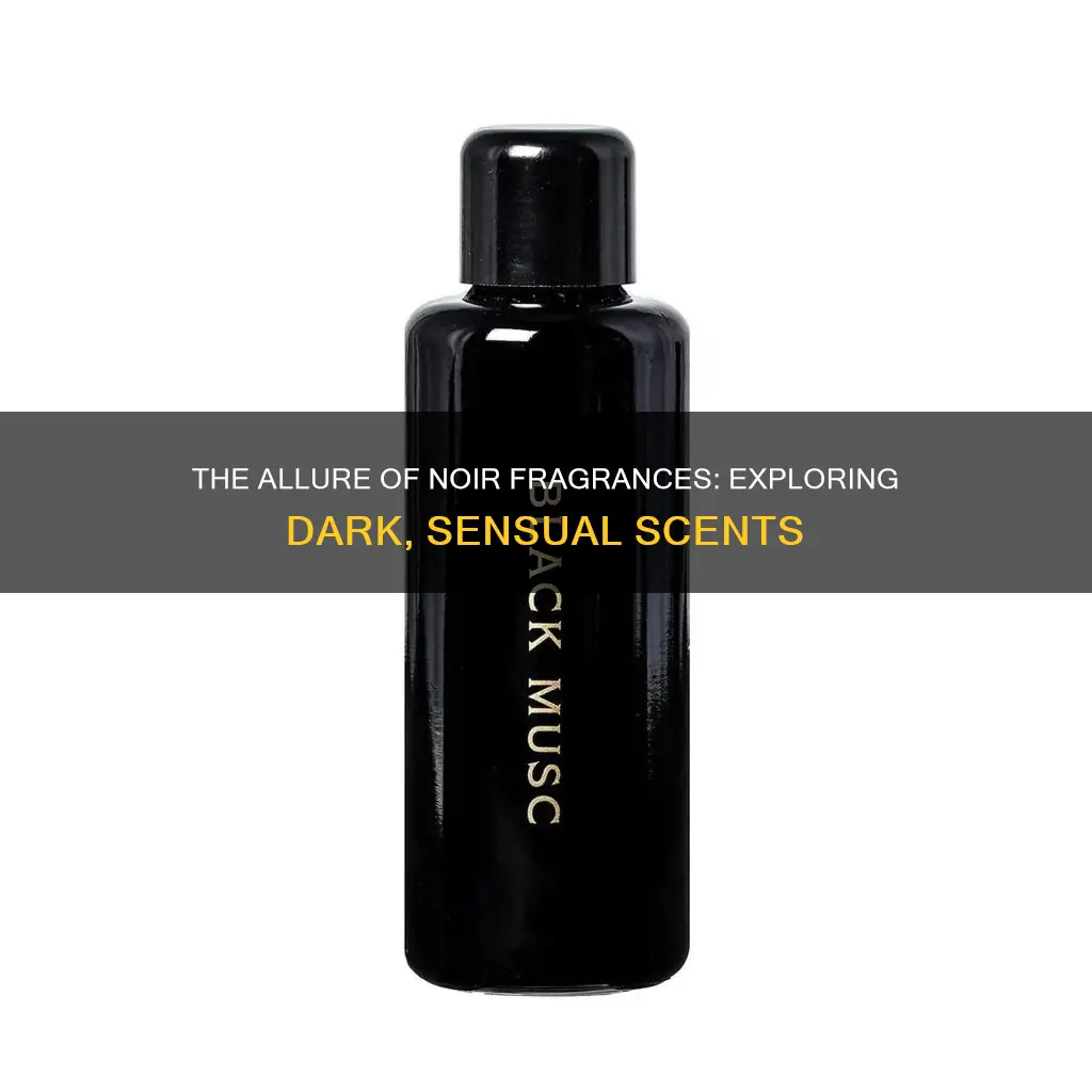 what is noir fragrance