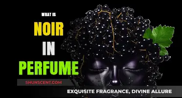 The Dark, Seductive World of Noir Perfumes