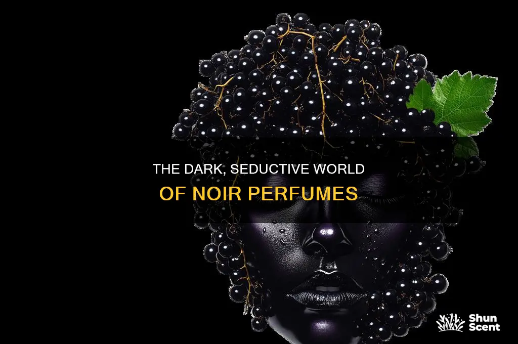 what is noir in perfume