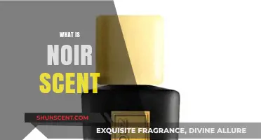 Unveiling the Mysterious Allure of Noir Scents in Perfumery