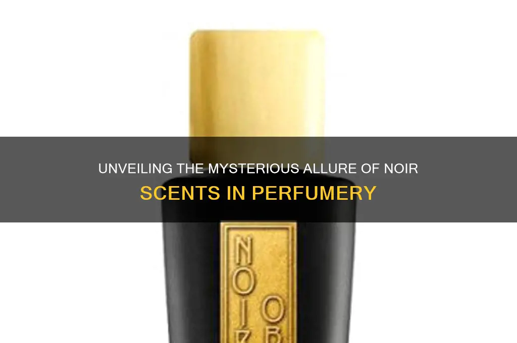 what is noir scent