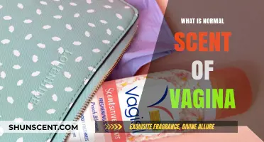Understanding the Natural Scent of a Healthy Vagina: What's Normal?