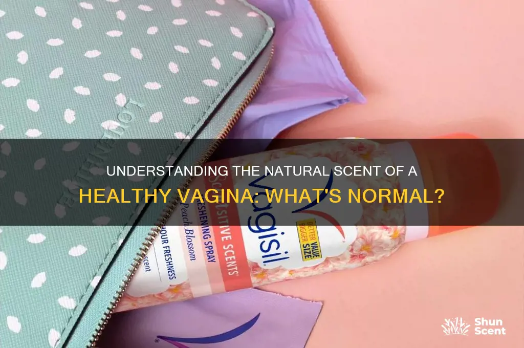 what is normal scent of vagina