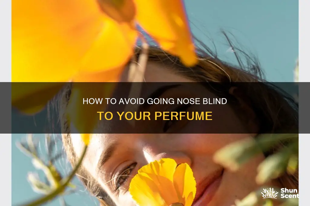 what is nose blind in perfume