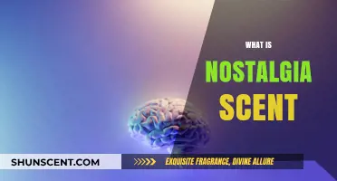 Unveiling the Power of Nostalgia Scent: A Journey Through Memories