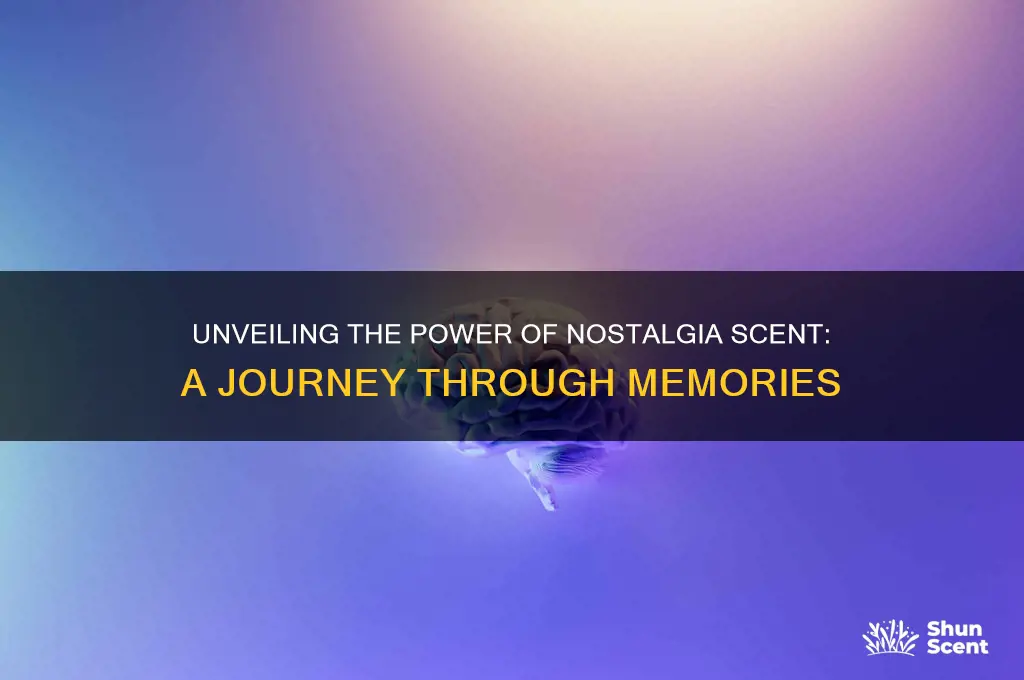 what is nostalgia scent