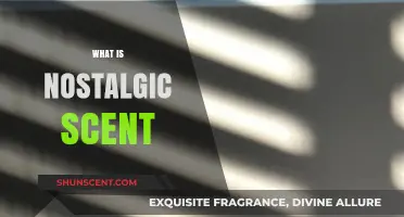 Unveiling the Power of Nostalgic Scents: A Journey Through Memories