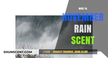 November Rain Scent: Unveiling the Mystique of Autumn's Aromatic Essence