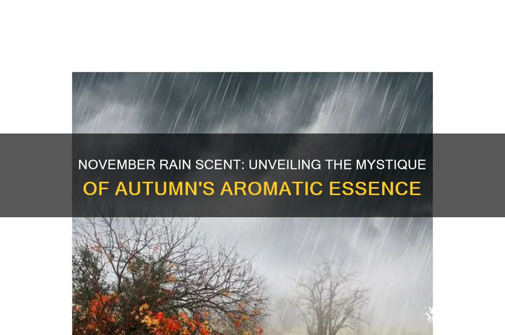 what is november rain scent