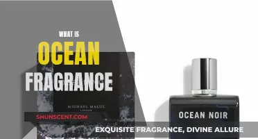 The Ocean's Scent: Capturing the Essence of the Sea