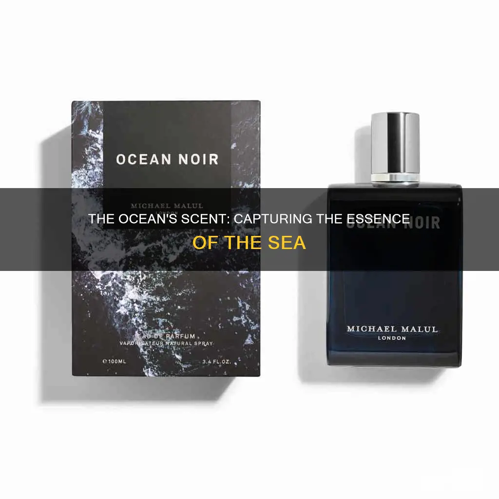 what is ocean fragrance