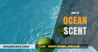 Unveiling the Mystique: What is Ocean Scent and Its Origins