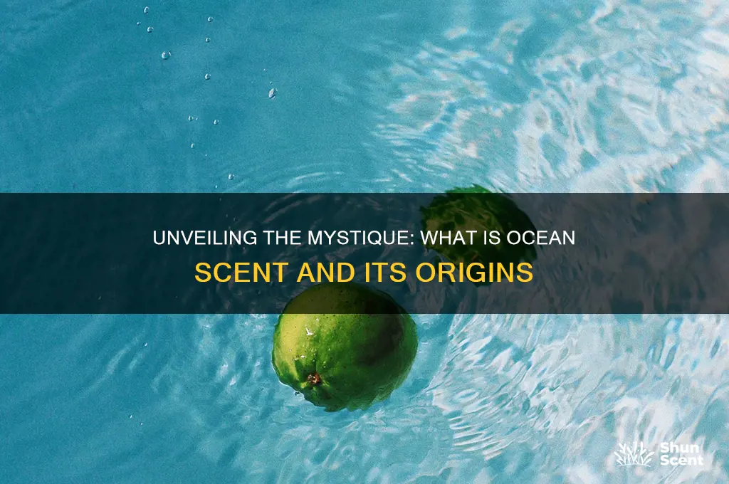 what is ocean scent