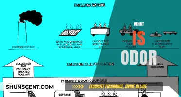 Understanding Odor: The Science Behind Scents and Smells Explained