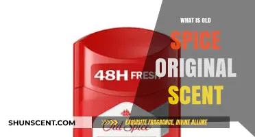 Unveiling the Timeless Allure of Old Spice Original Scent
