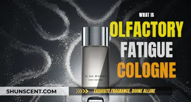 Understanding Olfactory Fatigue and Cologne Scents