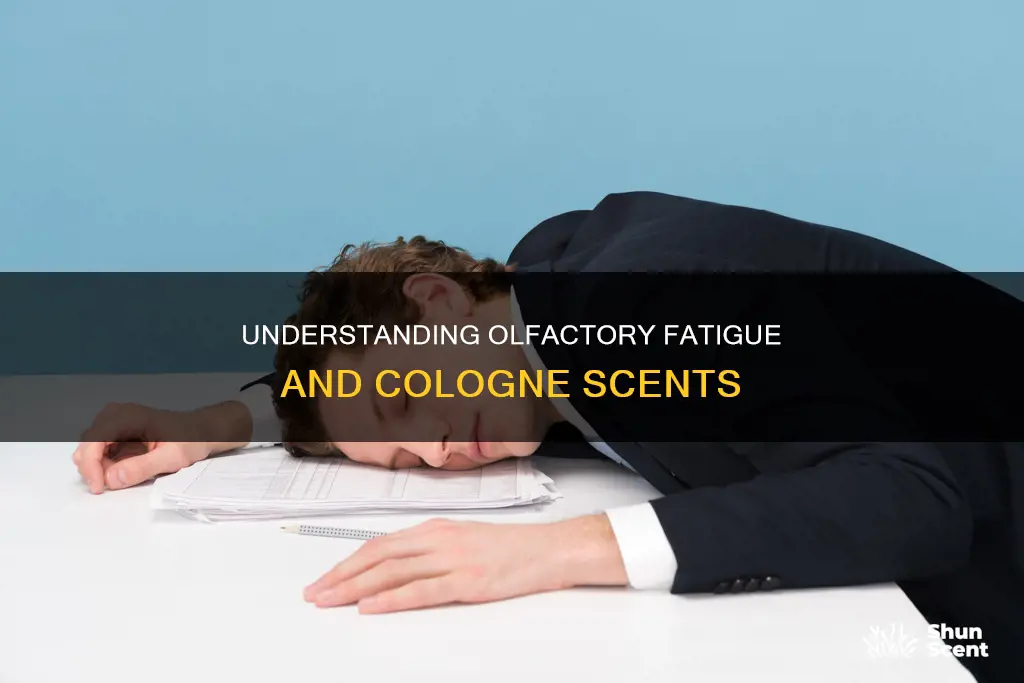 what is olfactory fatigue cologne