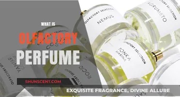 The Magic of Olfactory Perfumes
