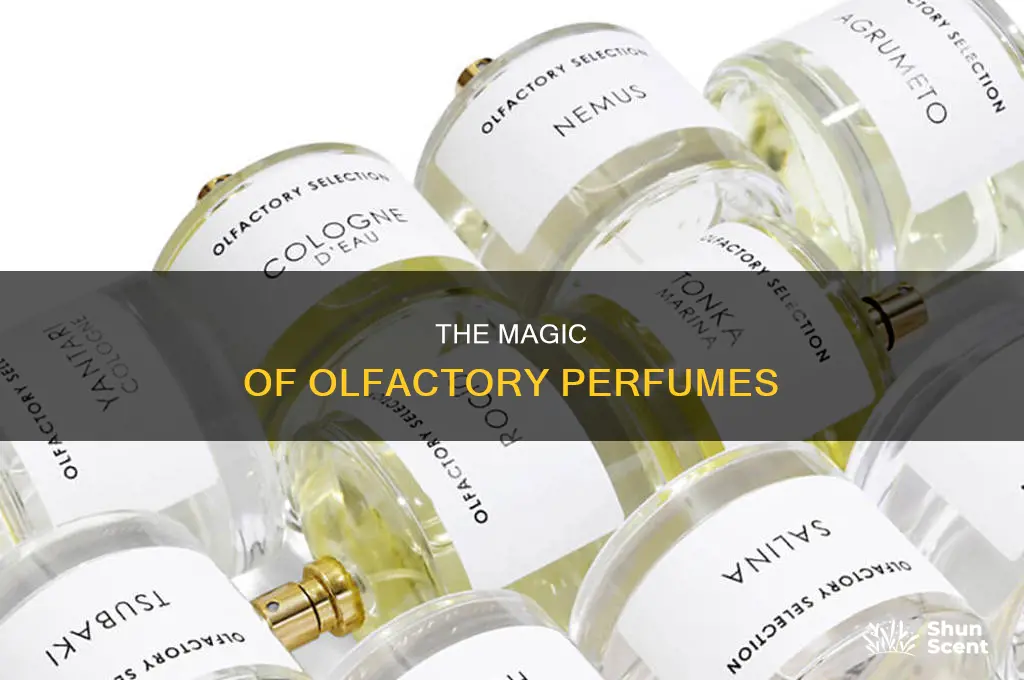 what is olfactory perfume