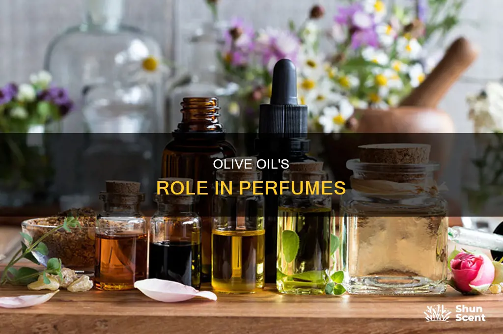 what is olivr oil used for in perfume