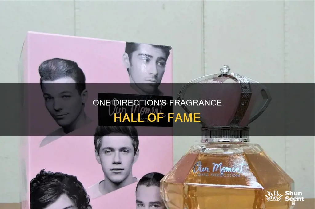 what is one direction